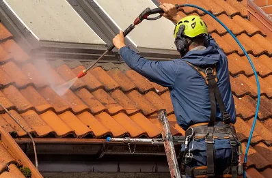 Démoussage et hydrofuge de toiture à Belleydoux